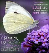 Image result for Philippians 3:10-11