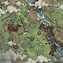 Image result for Nature Preserve Battle Maps