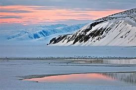 Image result for Siberia Arctic Map