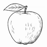 Image result for Sketch Image of Apple