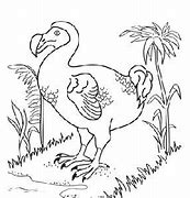 Image result for Extinct Animals Drawing