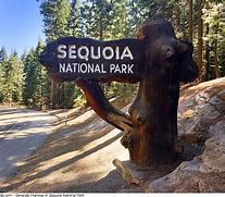 Image result for Sequoia National Park Logo