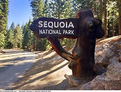 Image result for Sequoia National Park Entrance