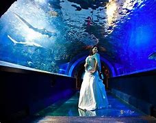 Image result for Cincinnati Aquarium