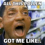 Image result for Allergy Season Meme