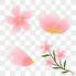 Image result for Cherry Blossom Single Flower Clip Art