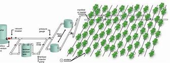 Image result for Large-Scale Drip Irrigation Systems