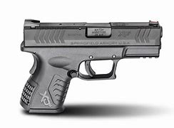 Image result for Best Beretta for Concealed Carry