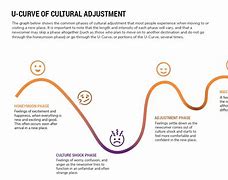 Image result for Adjustment Curve