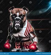 Image result for Boxer Dog Boxing