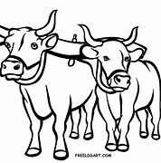 Image result for Drawing of Oxen