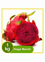 Image result for Tangkai Buah Naga Merah