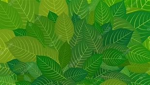 Image result for Bright Green Leaves Poster