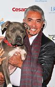 Image result for Cesar Millan Pit Bull