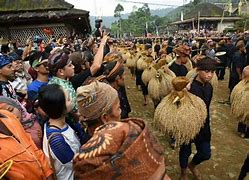 Image result for Pengertian Kearifan Lokal