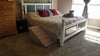 Image result for Dog Cat Ramp