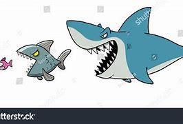 Image result for Shark Like Fish