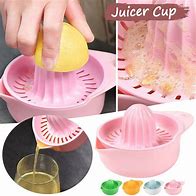 Image result for Manual Juicer for Apples and Citrus