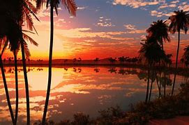 Image result for Sunset Live Wallpaper 4K