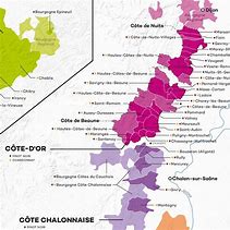 Image result for Burgundy Wine Map.pdf