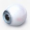 Image result for Human Eyeball