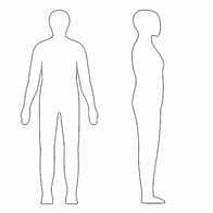 Image result for Anatomical Position Blank Diagram