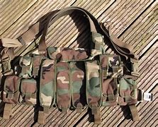 Image result for AWS M14 Chest Rig