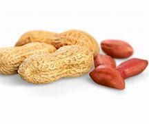 Image result for Peanut Hay Protein