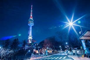 Image result for The Sed South Korea Night Life