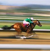 Image result for Riding Fast Horse with Sombraro On