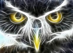 Image result for Neon Owl Logo