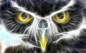 Image result for Owl Neon Artwork