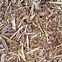 Image result for Stock Pictures Hardwood Mulch