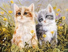 Image result for Cute Spring Cats