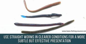 Image result for Soft Plastic Worms