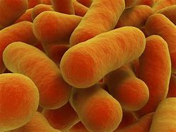 Image result for Botulism