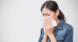 Image result for Seasonal Flu Symptoms