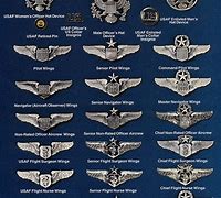 Image result for AFC Pilot Wings