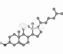 Image result for Cholesterol Molecule Diagram