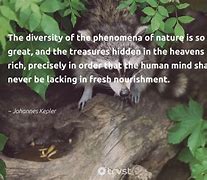 Image result for Quotes About Biodiversity