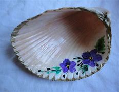 Image result for Painting Sea Shells Kit