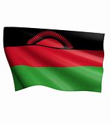 Image result for Malawi Flag