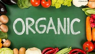 Image result for Eat Organic Food