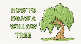 Image result for Willow Tree Drawing