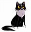 Image result for Chonky Tuxedo Cat