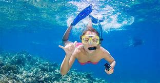 Image result for Snorkeling Pool