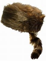Image result for Daniel Boone Hat
