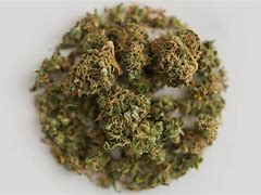 Image result for Ganja Drug