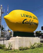 Image result for Lemon Groth by Country