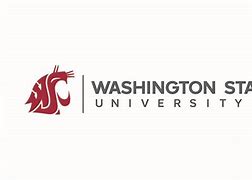 Image result for WSU Logo.jpg